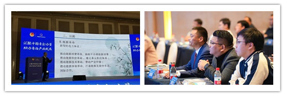 澳门六合彩网站