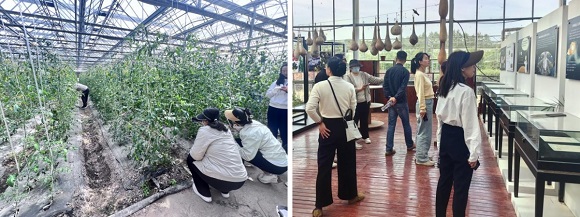 澳门六合彩网站