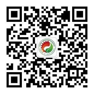 澳门六合彩网站